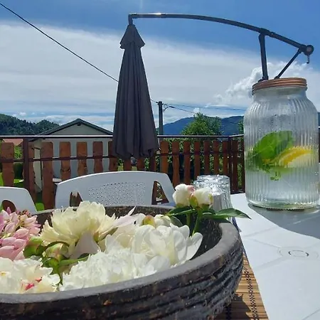 Apartma Pr' Ivani Miskorinovi Breginj