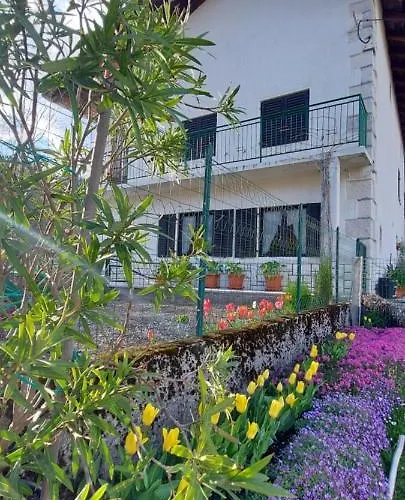 Apartma Pr' Ivani Miskorinovi Appartement *